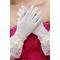 Gants de mariage Perler Taffetas Glamour Salle