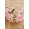 Les enfants de princesse douce Couronne main bague - Page 7
