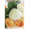 Blanc les mariées coréen pivoine main bouquet de mariée rouge huashan camélia simulation - Page 2