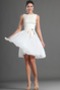 Robe de Bal Simple Orné de Nœud à Boucle Balançoire Couvert de Tulle - Page 1
