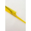 tendons de boeuf jaune Portable Simple antistatique petit miroir & peigne