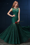 Robe de Soirée Sirène Couvert de Dentelle Appliques Manquant Hiver