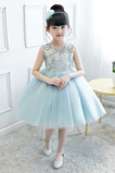 Robe Cortège Fille Orné de Nœud à Boucle Col ras du Cou Tulle