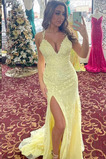 Robe de Soirée Longue Appliquer Tulle Thigh-High Slit Col en V Foncé