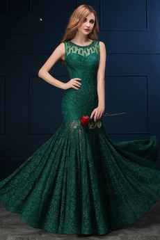 Robe de Soirée Sirène Couvert de Dentelle Appliques Manquant Hiver